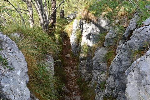 Sentiero trincea